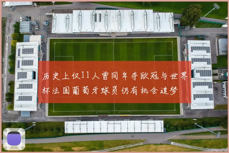 历史上仅11人曾同年夺欧冠与世界杯法国葡萄牙球员仍有机会追梦