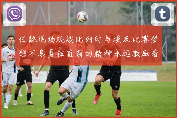 任航现场观战比利时与埃及比赛梦想不息勇往直前的精神永远激励着我们